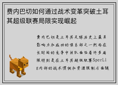 费内巴切如何通过战术变革突破土耳其超级联赛局限实现崛起